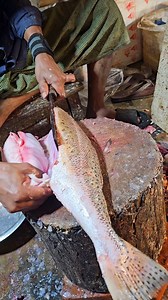 Fish Cutting Bangladesh | Incredible Poha Fish Cutting Skills In Bangladesh Fish Market | Giant Fish #reelsvideoシ #reelsviralシ #reelsfbシ #viralreelsfb #reelsfypシ #reelstrending #reelschalleng #reelsviral #reelschallenge #viralshorts #reels #reelsfacebook #trendingpost #trendingvideo #trendingreels #trendingreelsvideo #fish #fishing #fishcutting #viralpost #viralvideoシ #viralreelsシ | Fish Cutting Show