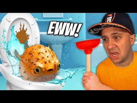 PUFFER FISH Goes Down The TOILET! | I Am Fish