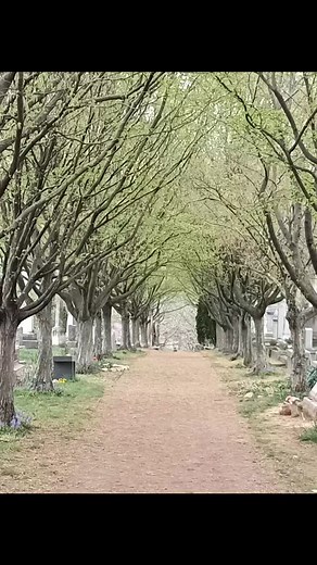 Congressional Cemetery, Washington, DC #cemeteryphotography #cemeterytravels #tombstonetravels #cemeteryphotos #cemeterywandering #cemeteryscapes #cemeterybeauty | Tombstone Travels