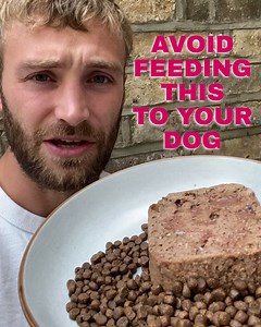 5.1K views · 62 reactions | ⭐⭐⭐⭐⭐ “The best thing I have ever done...