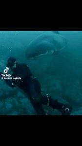 2K views · 38 reactions | Dodging Death ☠️⚰️ #GreatWhite | Boca Chica Beach Legends | Facebook