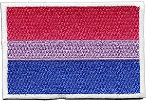Bisexual Pride Flag Patch Bi Support Embroidered Iron On