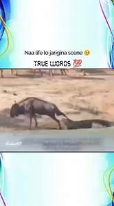 #truewords #balu147 #balu_sita | Balaraj Reddy