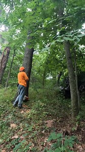 7.9K views · 271 reactions | I can save it - Scene from "Wet, wild and wacky. Watch full episodes on my page now | Boys In The Woods | Facebook