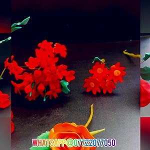 5 Days Homemade Easy Edible GumPaste Flower Making Class Fee 2500(5Days class) Date JANUARI 27 to 31 Time. 3 pm to 6pm https://wa.me/917722077050 WhatsApp 07722077050/for detaiis How to make easy and effective GumPaste for flowers All flowers will be made using homemade GumPaste How to make homemade edible glue TECHNIQUES : Edible glue recipe.Wiring of petals.Veining of petals.Frilling .Dusting colours, how to give natural colour and look to flowers and leaves We will send a list of ingredients 