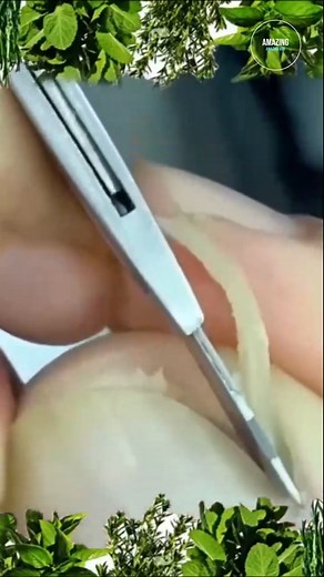 beautiful | Amazing Meme