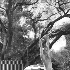 9.1K views · 82 reactions | just because :) Randolph Scott, aka 'Adam' in My Favorite Wife :) | Classic Movie Hub | Facebook