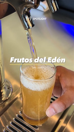 Frutos del Edén nace de la visión de cinco amigos que decidieron combinar su amor por la ciencia y la cerveza para crear algo único. Su secreto: un proceso de ultra purificación de agua que les permite elaborar cervezas artesanales con un nivel de pureza y sabor excepcional.🍻 🍔 Pero aquí no solo se viene a tomar cerveza. también es un restaurante con un menú amplio, buena coctelería y un ambiente familiar. Si no has visitado Frutos del Edén, ¡esta es tu señal!👈🏽 Conoce más restaurantes nuevo