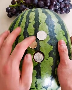 350K views · 530 reactions | Check out this genius money-hiding hack! | Handy Dandy | Facebook