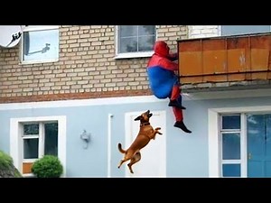 TRY NOT TO LAUGH 😆 Best Funny Videos Compilation 😂 PART 24