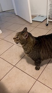 Atlas has range! | Friendly Noodles