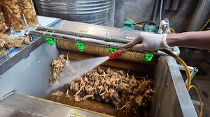 Chỉ với 750k sở hữu ngay 1 combo bình sâm trải nghiệm 1,5l bao gồm 300g sâm và tặng thêm 1 củ có cành lá. | Quang Sâm