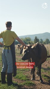 Unveil the magic of Visit Lika-Senj County and Croatia Full of life with the MICHELIN Guide! 🌟 Dominik and his wife are ready to share their love for cheese-making on their Croatian farm. Their cows feast on healthy herbs, producing the richest milk for the creamiest cheese. Perfect for salads and potatoes! 🧀 Ending on a tongue twister note - Škripavac sir! Can you say it with ease? #VisitLikaSenj #MichelinGuide | Croatia Full of life