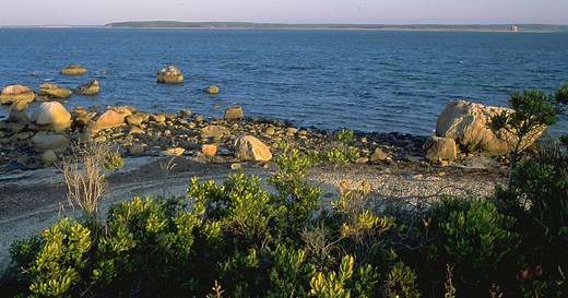 Visit Mashomack Preserve