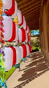 1K views · 36 reactions | Our Senbazuru (千羽鶴) installation, featuring...