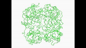 File:Identification-of-the-Allosteric-Regulatory-Site-of-Insulysin-pone.0020864.s012.ogv - Wikimedia Commons