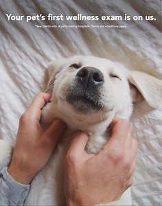 Your pet’s first wellness exam is on us.* 🐶 | VCA Animal Hospitals