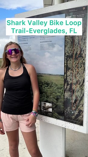 Alligator counting in the Everglades🐊#alligator #everglades #florida #sharkvalleytrail #rvvlog #fulltimetravel #bikeride #prevost #rvlife #fulltimervers #motorhomelife #nationalparks #nationalpark | The Shinpaughs