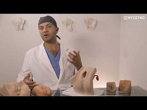 My labia minora are different lengths, what are my options with surgery?