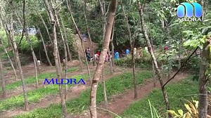 80K views · 1.9K reactions | കല്ലടയാറില്‍ കുളിക്കാനിറങ്ങിയ രണ്ട് വിദ്യാര്‍ഥികള്‍ ഒഴുക്കില്‍പ്പെട്ട് മുങ്ങി മരിച്ചു. | Mudra vision | Facebook