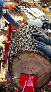 Walnut Cracking! Split-Fire #splitter #firewood #wood | Oakie Woodsman