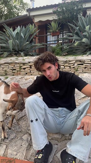 Tt le girlz dello zoo