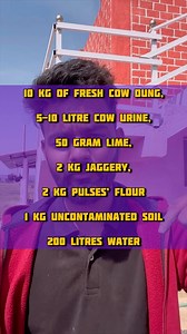 Jivamrit 🌱 acts as a biostimulant by promoting the activity of microorganisms in the soil and also the activity of phyllospheric microorganisms when spayed on foliage.. It acts like a primer for microbial activity, and also increases the population of native earthworms. Inputs needed: 10 kg of fresh cow dung, 5-10 litre cow urine, 50 gram lime, 2 kg jaggery, 2 kg pulses’ flour 1 kg uncontaminated soil and 200 litres water Preparation of Jivamrit: The materials should be mixed in 200 litre water