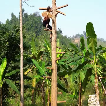 Building A High Observatory, Made Of Natural Wooden. | Kaleb Mountain life