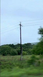 Nature 🌳 #therapy #nature #rain #road #chill