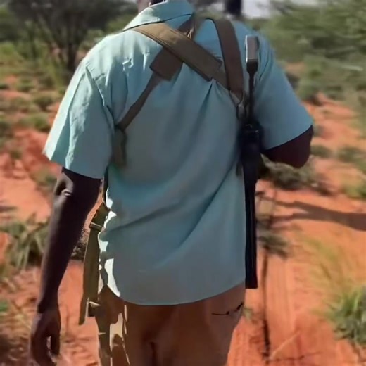 Gabdhaha Reer Buuhoodle ayaa iska xaadiriyay Jiidaha Qurulugdh say uga qayb qataan Qaniimooyinka ay wadaan Ciidanka Soomaliland. Qardho Media | Qardho Media