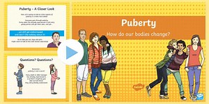Puberty How Our Bodies Change Diagrams PowerPoint