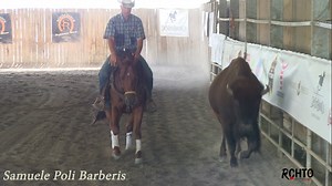 12K views · 273 reactions | Using Bison To Teach Rate! We are excited...