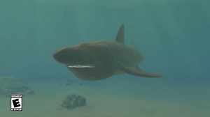 What sharks have you encountered in Endless Ocean Luminous? 🦈 | Nintendo of Canada