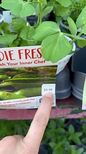 4.5K views · 187 reactions | Don’t buy the peas at the store! We’re...