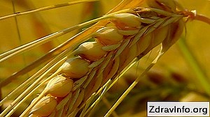 Колобома на окото: причини, симптоми и лечение на заболяването 👃👃 Портал На Синусите И Др. - 2025