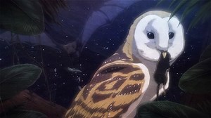 Hunter x Hunter 2011 capítulo 99 en español latino | El legado de Genzo wakabayashi