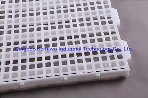 [Hot Item] Poultry Plastic Floor Reasonable Aperture Chicken Floor