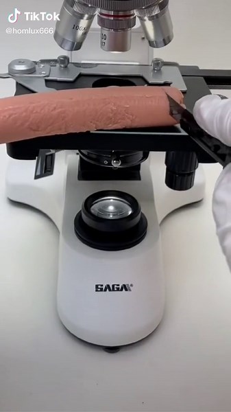 #tiktok ##microscope #ITriedItIPrimedIt