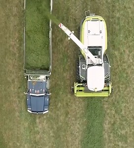 2.3K views · 77 reactions | Today is National Farm Animals Day. It is...