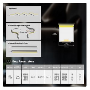 [Hot Item] Factory Hot Sale Top Bend 10*10mm Waterproof LED Neon LED Strip