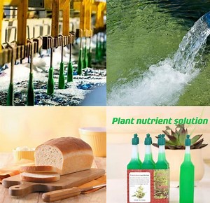 [Hot Item] Disodium Monohydrogen Phosphate DSP Disodium Phosphate Industrial/Food Grade Additive