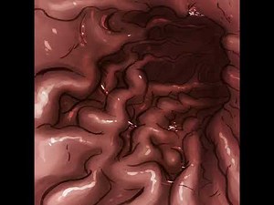 Digesting you in my Stomach - audio [Vore asmr, stomach growls]