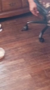 Tuna feet sandwich | FunTimes Corner