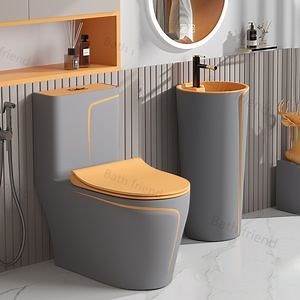 [Hot Item] Gray Orange One Piece Toilet Modern Bathroom Strap Toilet