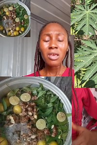 PowerfuI curé for typhoìd féver and maIaria #everyone #malaria #malariafree #malariaprevention #Typhoid #typhoidfever #fever | Juli Gist Fertility And Herbal Home