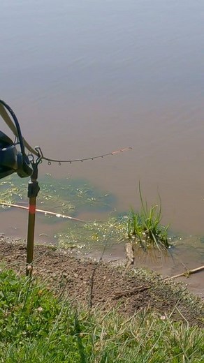 149K views · 2.2K reactions | "Nu inteleg ce iti place asa mult la...