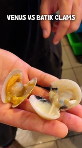 13K views · 86 reactions | Both Batik clams and Venus clams offer unique flavour profiles and textures, making them prized ingredients in any seafood dishes. Got a recipe you love featuring these clams? Share them! #howto #lala #venusclams #batikclams #choosingclams #kitchentips #wetmarket | The Meatmen Channel | Facebook