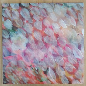 Electric Octopus - Smokyhead