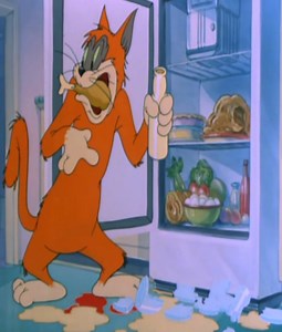 Tom and Jerry Cartoon | Sean Dode