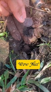 Nice Find. #metaldetecting #oldcoins | GO finder